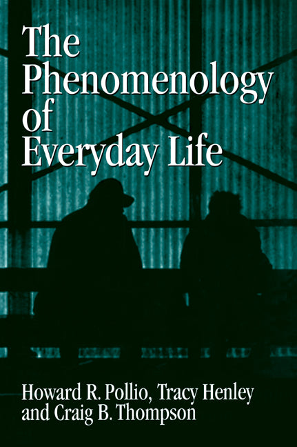 The Phenomenology of Everyday Life; Empirical Investigations of Human Experience (Paperback / softback) 9780521031400