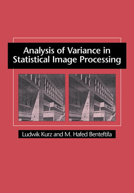 Analysis of Variance in Statistical Image Processing (Paperback / softback) 9780521031967
