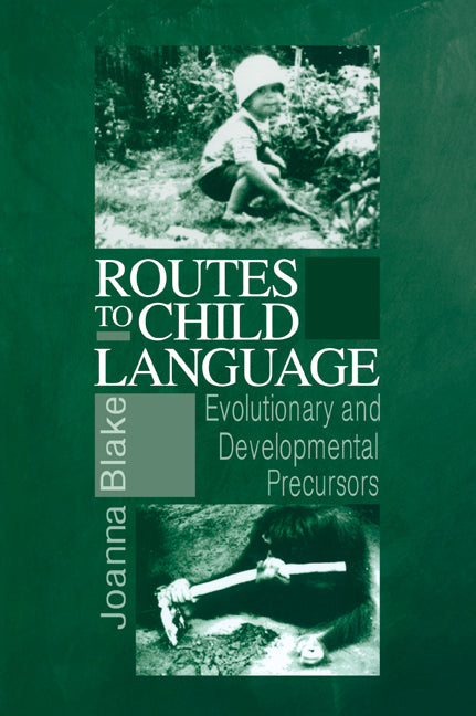 Routes to Child Language; Evolutionary and Developmental Precursors (Paperback / softback) 9780521033978