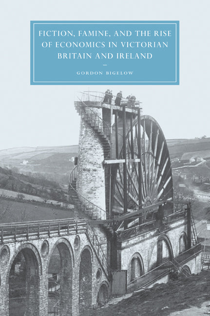 Fiction, Famine, and the Rise of Economics in Victorian Britain and Ireland (Paperback / softback) 9780521035538