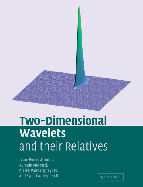 Two-Dimensional Wavelets and their Relatives (Paperback / softback) 9780521065191