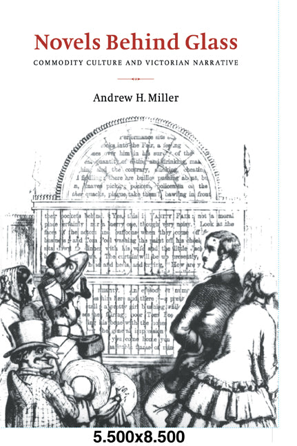Novels behind Glass; Commodity Culture and Victorian Narrative (Paperback / softback) 9780521068345