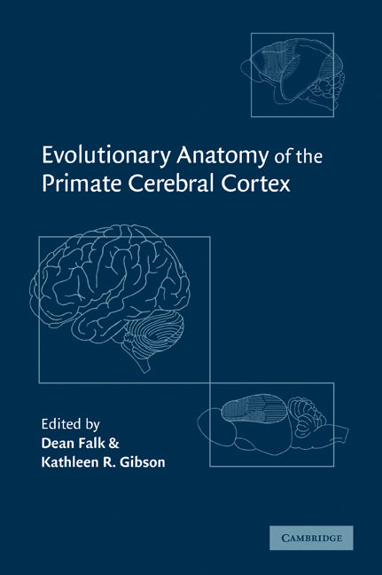 Evolutionary Anatomy of the Primate Cerebral Cortex (Paperback / softback) 9780521089951