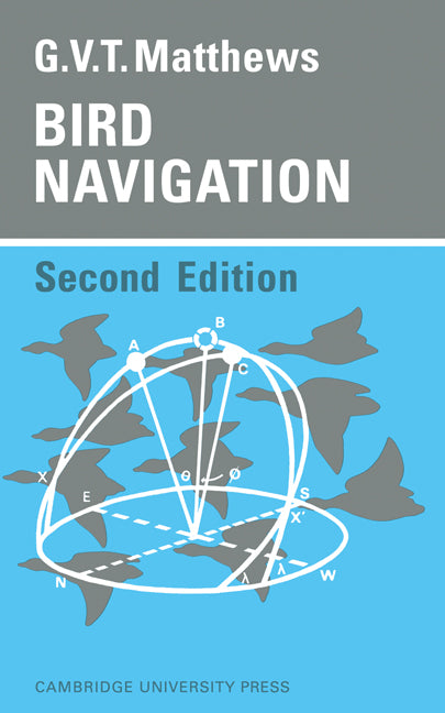 Bird Navigation (Paperback / softback) 9780521095419