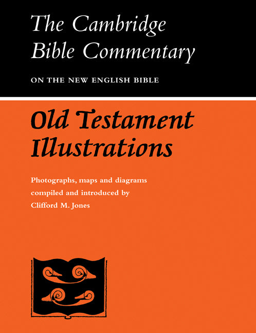 Old Testament Illustrations (Paperback / softback) 9780521096461