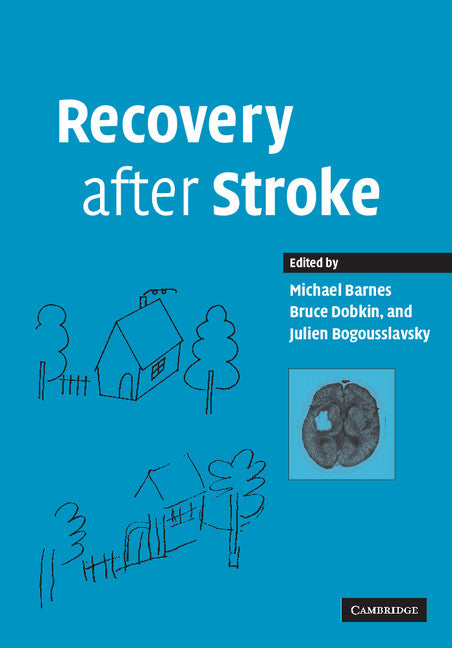 Recovery after Stroke (Paperback / softback) 9780521105149