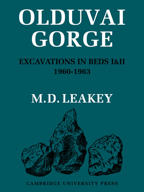 Olduvai Gorge (Paperback / softback) 9780521105187