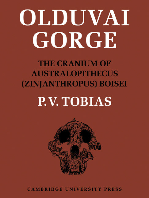 Olduvai Gorge (Paperback / softback) 9780521105194