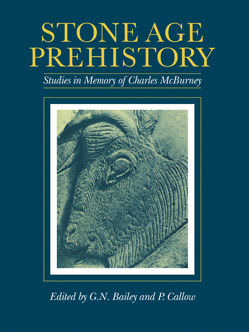 Stone Age Prehistory; Studies in Memory of Charles McBurney (Paperback / softback) 9780521105422