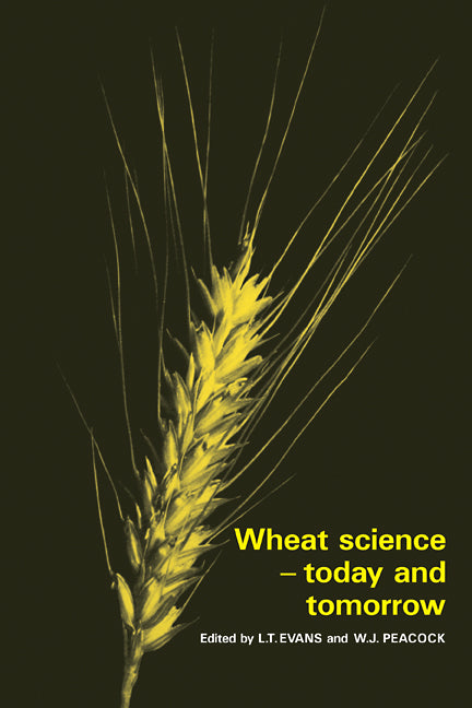 Wheat Science - Today and Tomorrow (Paperback / softback) 9780521105934