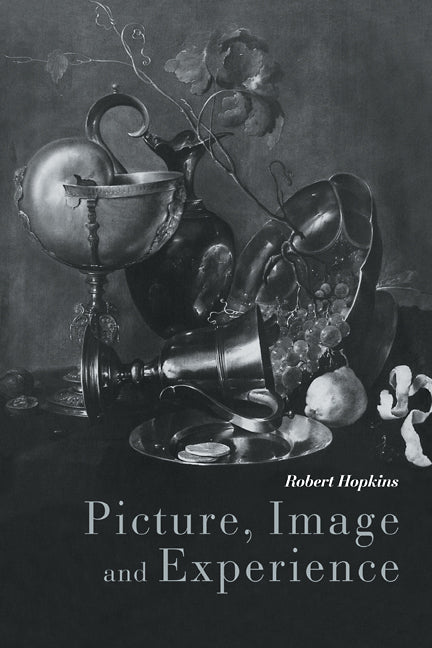 Picture, Image and Experience; A Philosophical Inquiry (Paperback / softback) 9780521109826