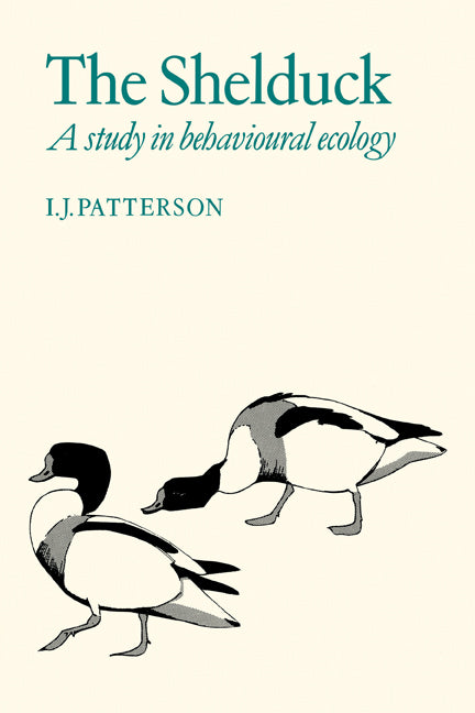 The Shelduck; A Study in Behavioural Ecology (Paperback) 9780521113359