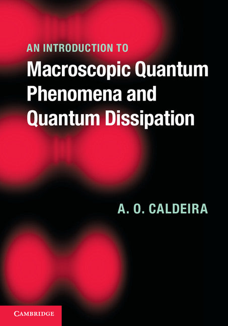An Introduction to Macroscopic Quantum Phenomena and Quantum Dissipation (Hardback) 9780521113755