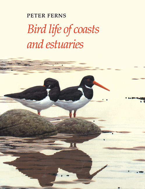 Bird Life of Coasts and Estuaries (Paperback) 9780521114493