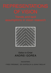 Representations of Vision; Trends and Tacit Assumptions in Vision Research (Hardback) 9780521412285