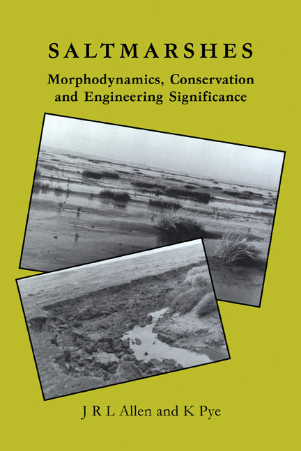 Saltmarshes; Morphodynamics, Conservation and Engineering Significance (Paperback) 9780521116992