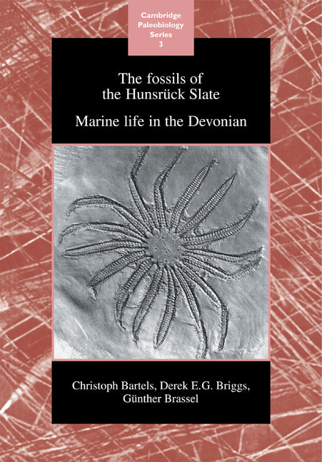The Fossils of the Hunsrück Slate; Marine Life in the Devonian (Paperback) 9780521117074