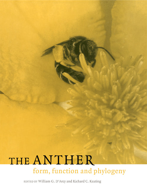 The Anther; Form, Function and Phylogeny (Paperback) 9780521120036