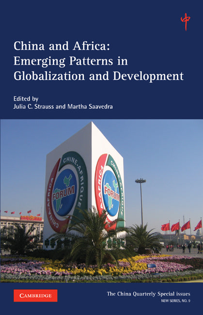 China and Africa: Volume 9; Emerging Patterns in Globalization and Development (Paperback) 9780521122009