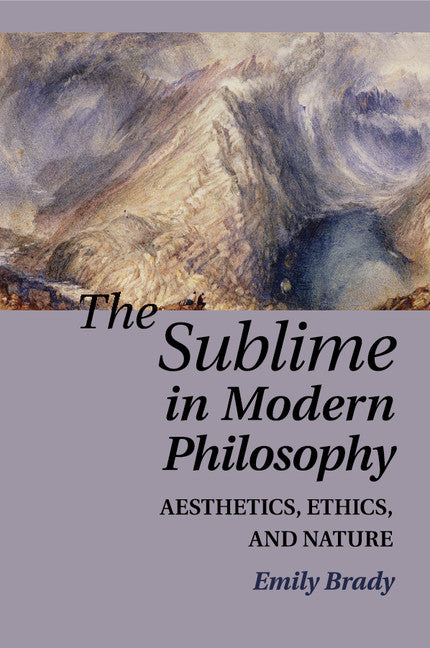 The Sublime in Modern Philosophy; Aesthetics, Ethics, and Nature (Paperback) 9780521122917