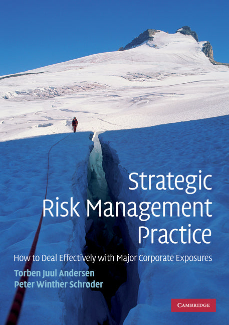 Strategic Risk Management Practice; How to Deal Effectively with Major Corporate Exposures (Paperback) 9780521132152