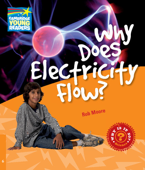 Why Does Electricity Flow? Level 6 Factbook (Paperback) 9780521137485