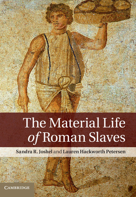 The Material Life of Roman Slaves (Paperback) 9780521139571