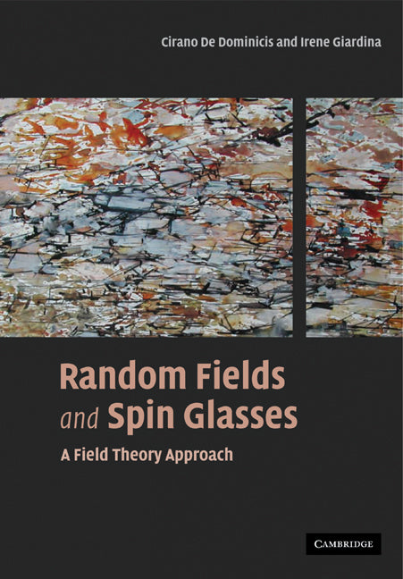 Random Fields and Spin Glasses; A Field Theory Approach (Paperback) 9780521143554