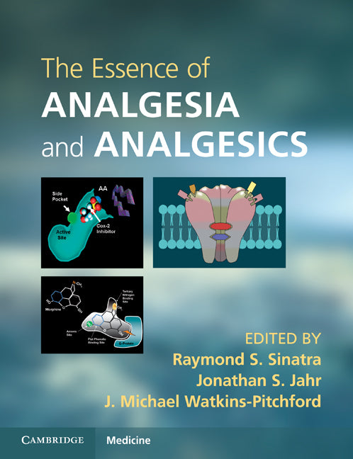 The Essence of Analgesia and Analgesics (Paperback) 9780521144506