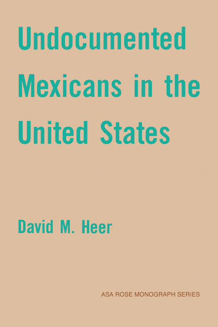 Undocumented Mexicans in the USA (Paperback) 9780521144780