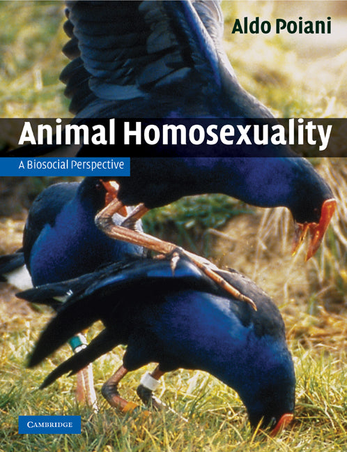 Animal Homosexuality; A Biosocial Perspective (Paperback) 9780521145145