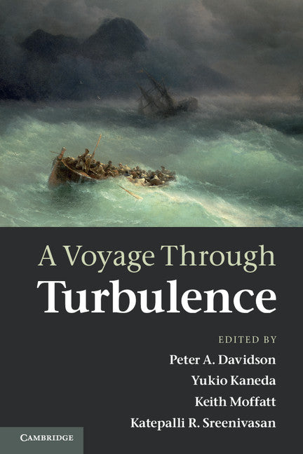 A Voyage Through Turbulence (Paperback) 9780521149310