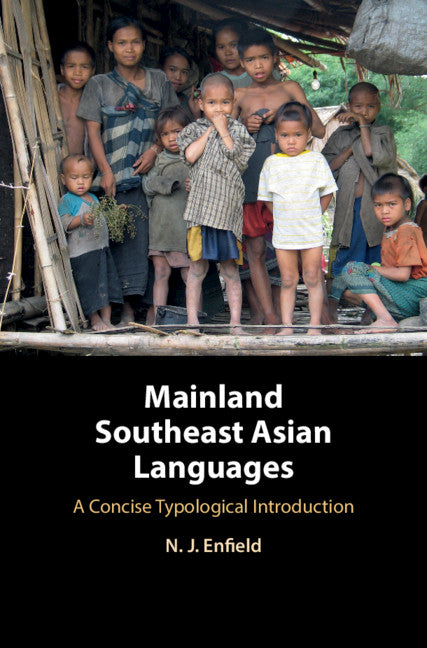 Mainland Southeast Asian Languages; A Concise Typological Introduction (Paperback) 9780521152426