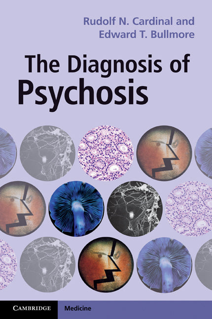 The Diagnosis of Psychosis (Paperback) 9780521164849