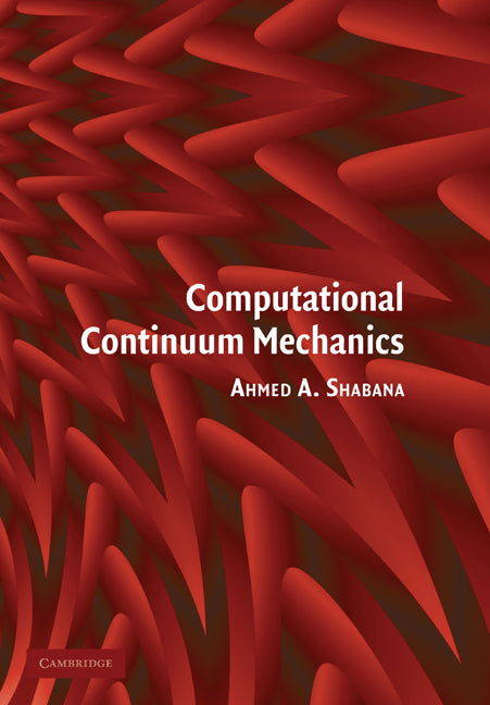 Computational Continuum Mechanics (Paperback) 9780521174381