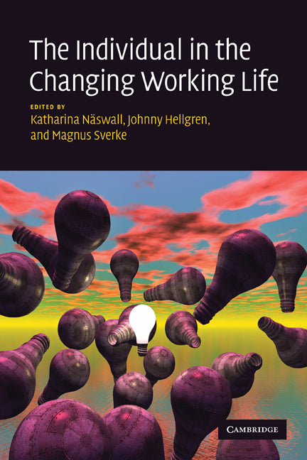 The Individual in the Changing Working Life (Paperback) 9780521182904