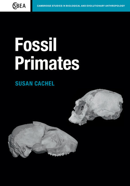 Fossil Primates (Paperback / softback) 9780521183024