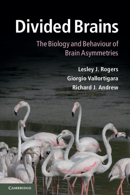 Divided Brains; The Biology and Behaviour of Brain Asymmetries (Paperback) 9780521183048