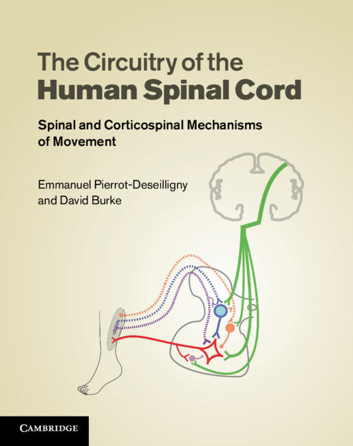 The Circuitry of the Human Spinal Cord; Spinal and Corticospinal Mechanisms of Movement (Hardback) 9780521192583