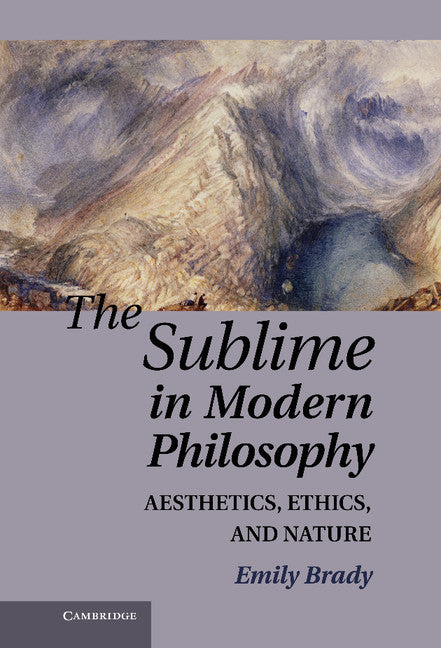 The Sublime in Modern Philosophy; Aesthetics, Ethics, and Nature (Hardback) 9780521194143