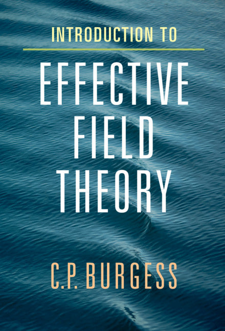 Introduction to Effective Field Theory; Thinking Effectively about Hierarchies of Scale (Hardback) 9780521195478