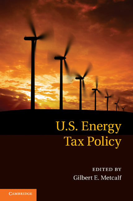 US Energy Tax Policy (Hardback) 9780521196680