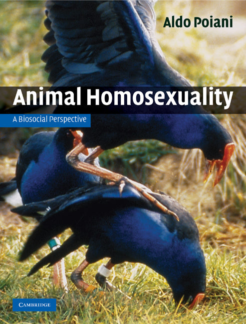 Animal Homosexuality; A Biosocial Perspective (Hardback) 9780521196758