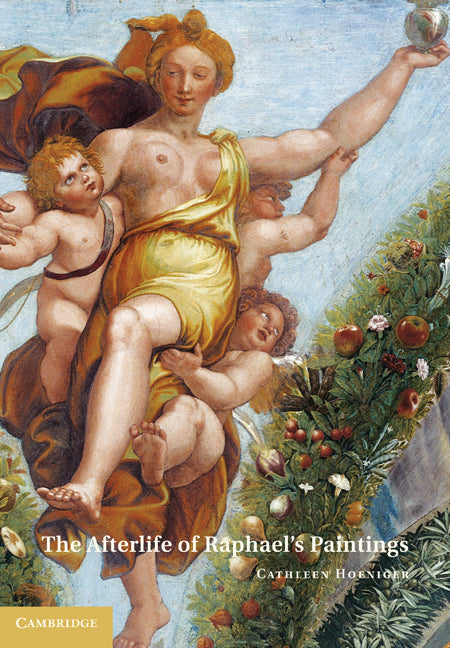 The Afterlife of Raphael's Paintings (Hardback) 9780521196949