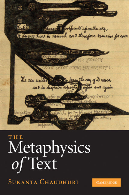 The Metaphysics of Text (Hardback) 9780521197960