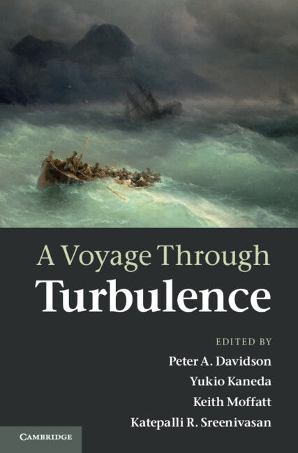 A Voyage Through Turbulence (Hardback) 9780521198684