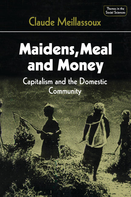 Maidens, Meal and Money; Capitalism and the Domestic Community (Paperback) 9780521297080