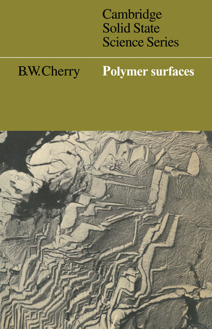 Polymer Surfaces (Paperback) 9780521297929