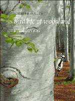 Bird Life of Woodland and Forest (Paperback) 9780521543477