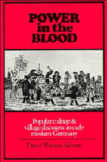 Power in the Blood; Popular Culture and Village Discourse in Early Modern Germany (Paperback) 9780521347785